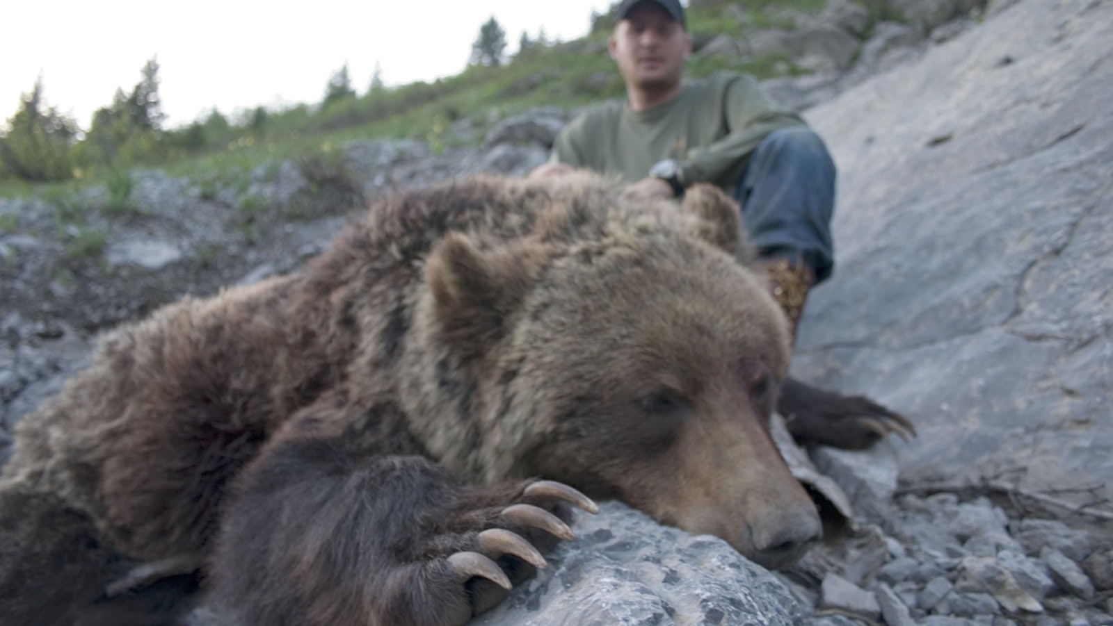 Grizzly hunt 2 14 23