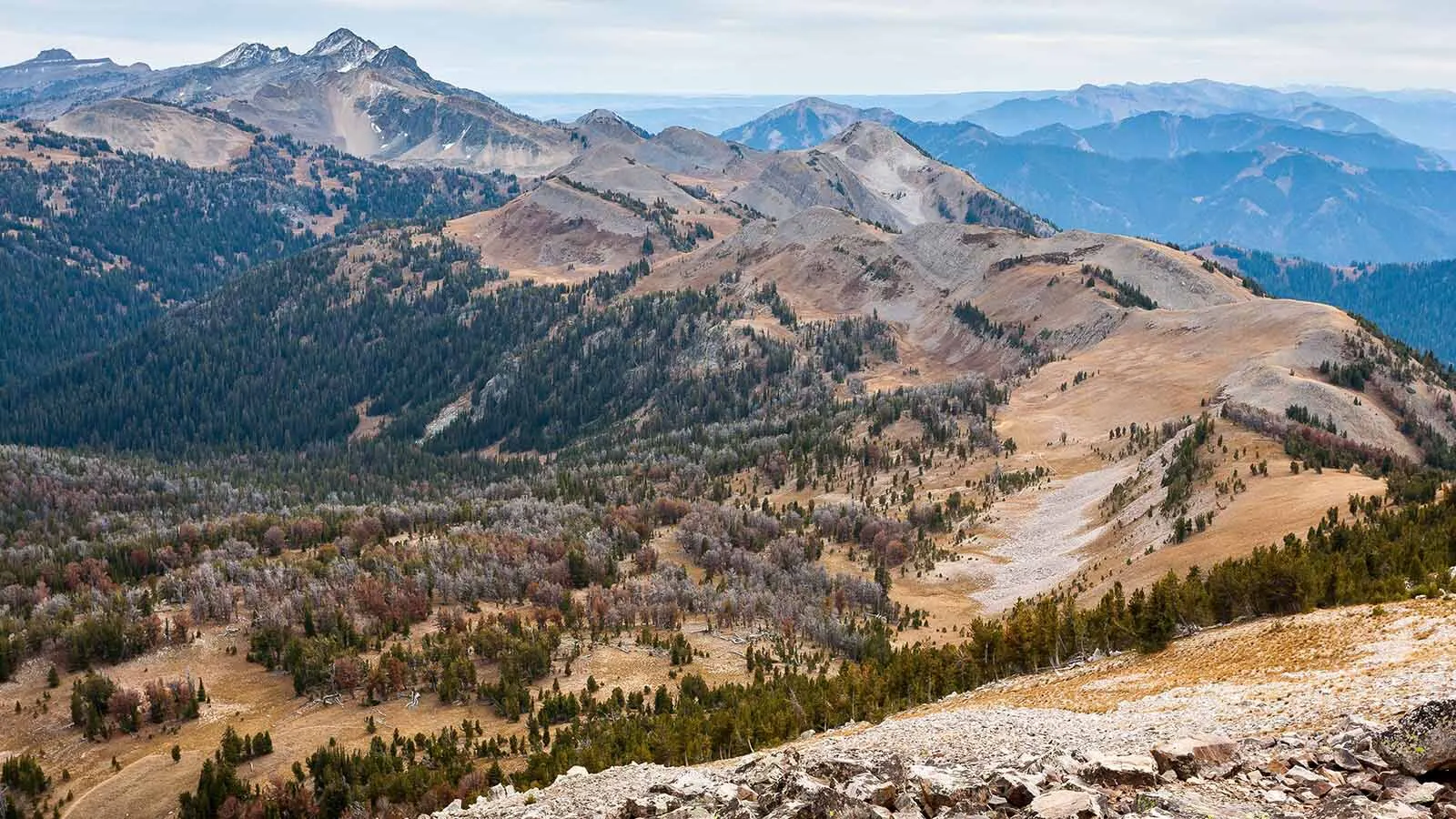 Mountain peaks border the Gros Ventre Wilderness in western Wyoming.