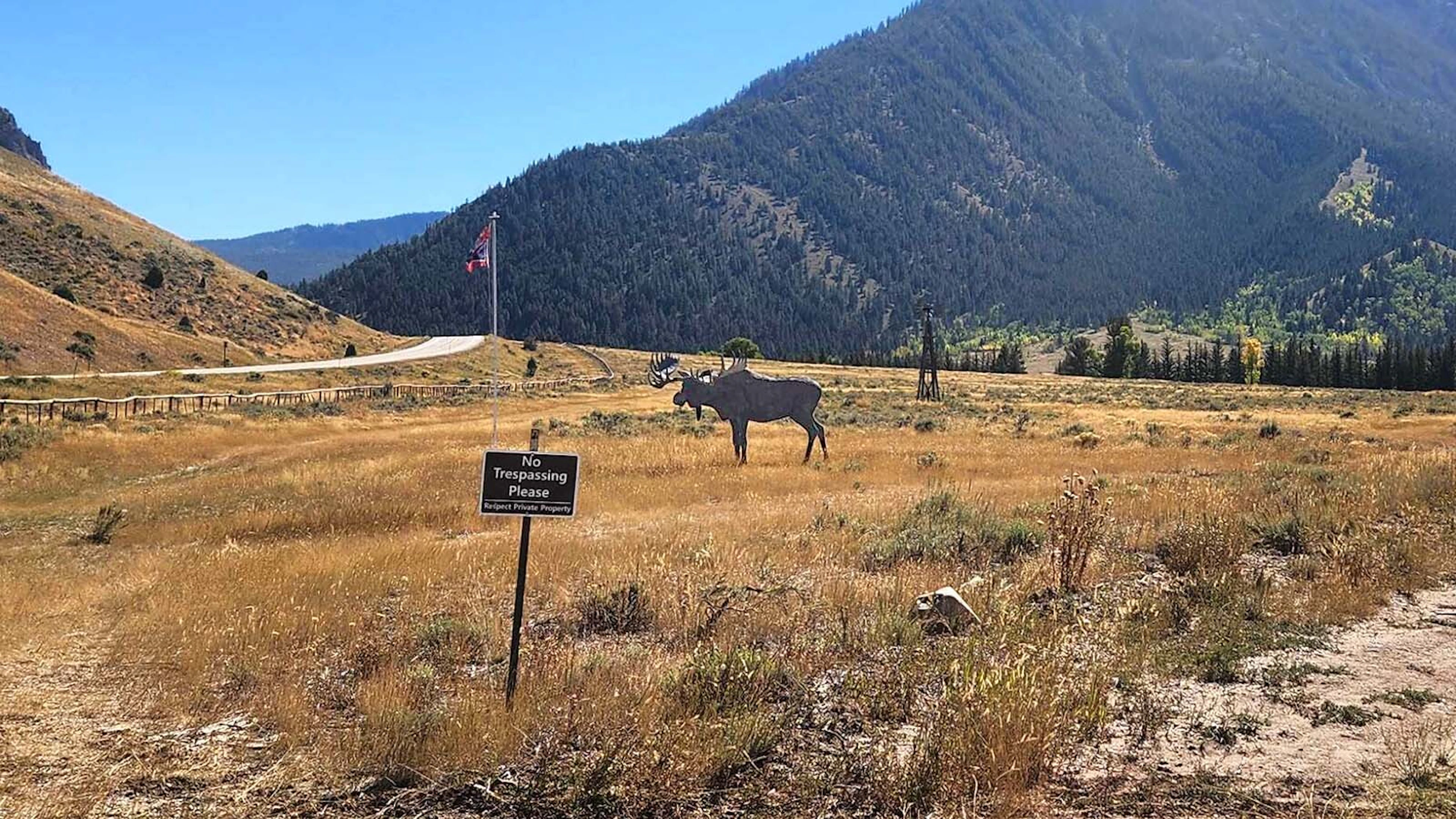 Grumpy State Jackson’s Famous Grumpy Moose Still Standing Despite Gunshots And Plane ...