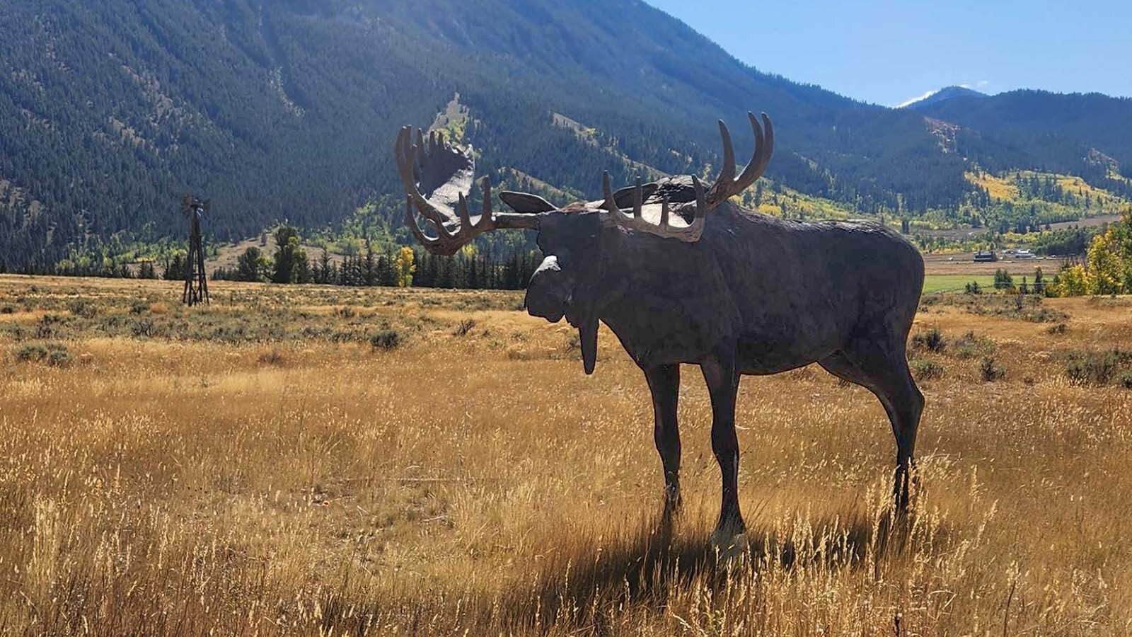 The famous Grumpy Moose statue in Jackson, Wyoming, was intended to serve as an important waypoint for travelers. It's also taken a beating over the years from gunshots to plane crashes.