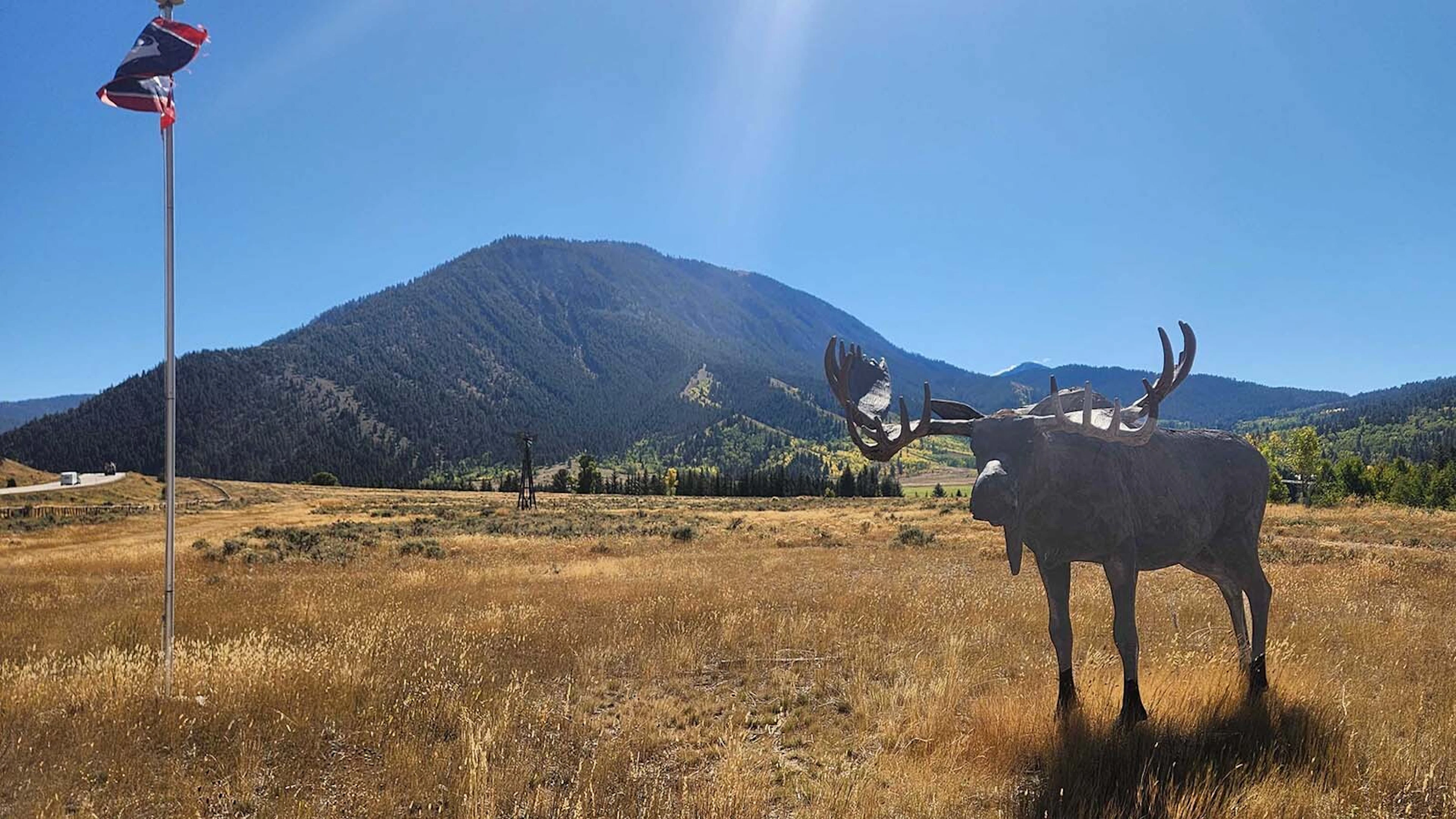 Grumpy State Jackson’s Famous Grumpy Moose Still Standing Despite Gunshots And Plane ...