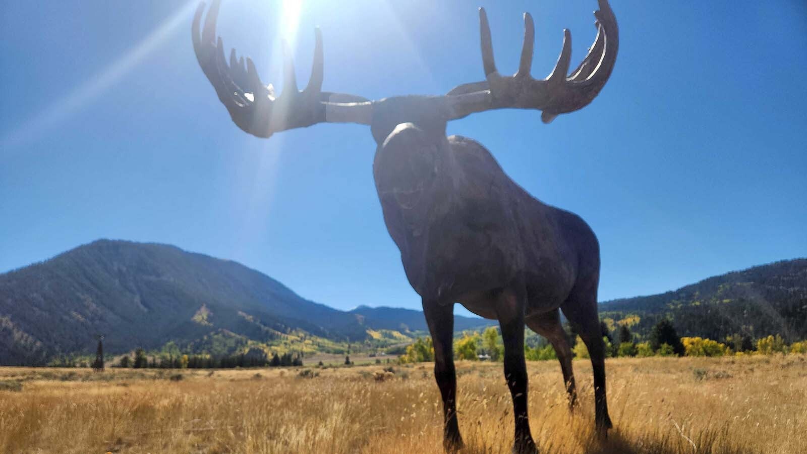 The famous Grumpy Moose statue in Jackson, Wyoming, was intended to serve as an important waypoint for travelers. It's also taken a beating over the years from gunshots to plane crashes.