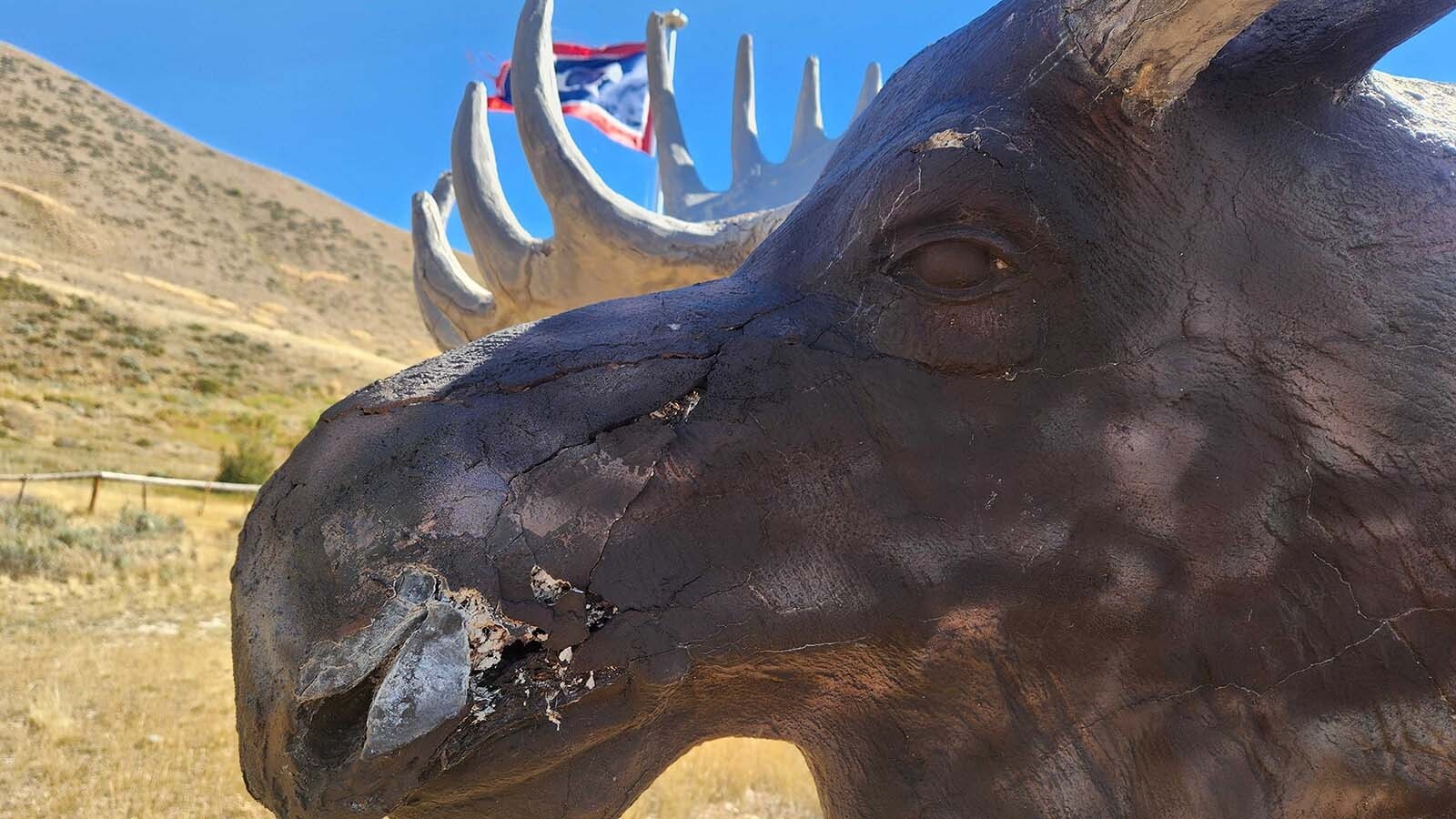 The famous Grumpy Moose statue in Jackson, Wyoming, was intended to serve as an important waypoint for travelers. It's also taken a beating over the years from gunshots to plane crashes.