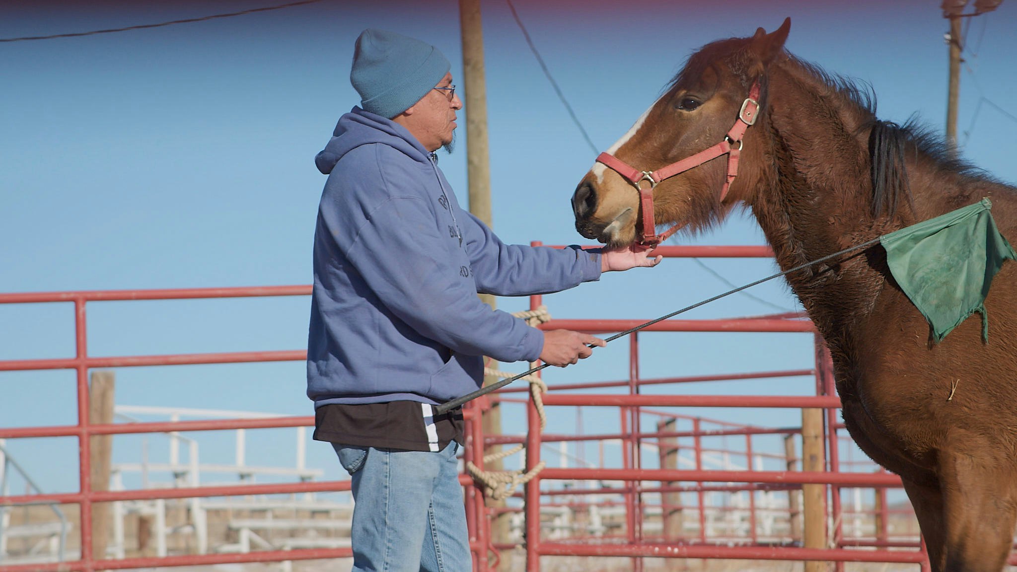 Horse Trainer Charles Walks brushes a horse named Wanda with a flag at Terry Bison Ranch on Jan. 29, 2025. Walks uses a flag to desensitize horses to its noise and feel.