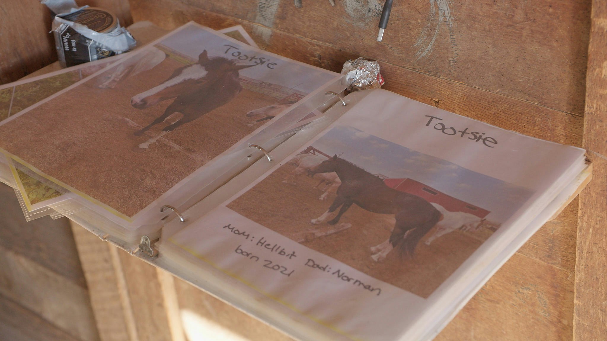 A binder keeps track of the 57 horses on Terry Bison Ranch.