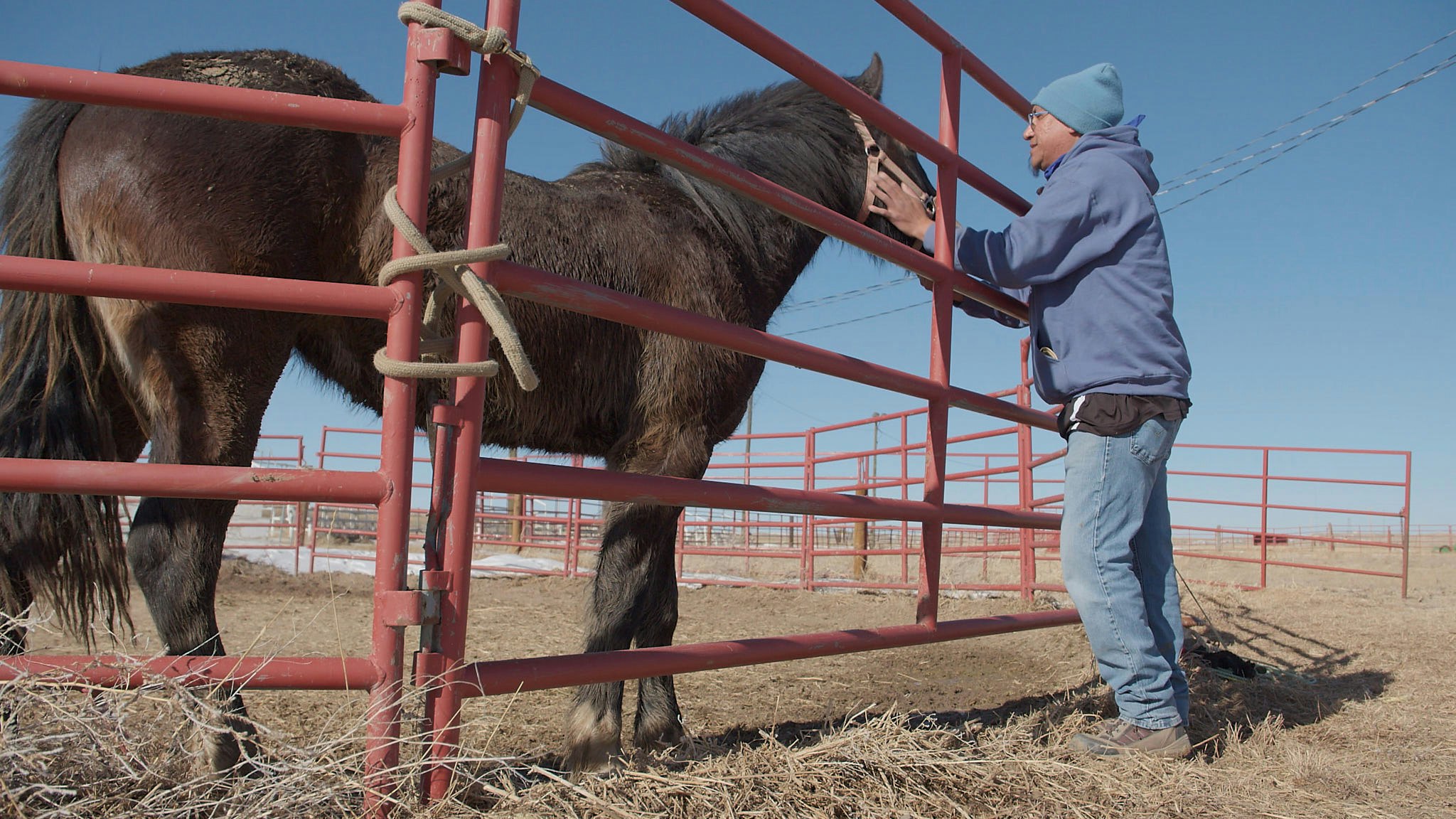 Charles Walks pets a horse named Teter at Terry Bison Ranch on Jan. 29, 2025