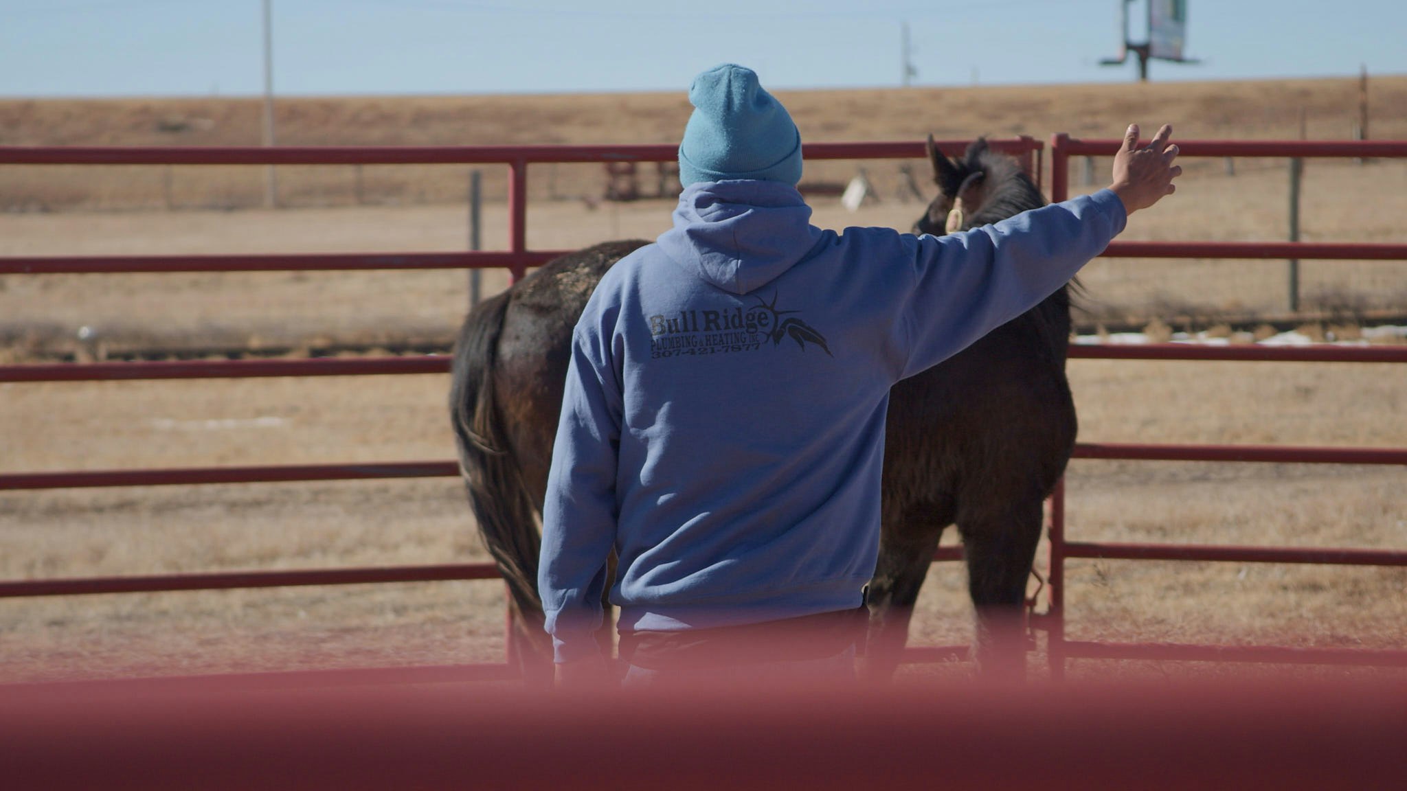 Charles Walks signals to a horse named Teter to stop trotting on Jan. 29, 2025.