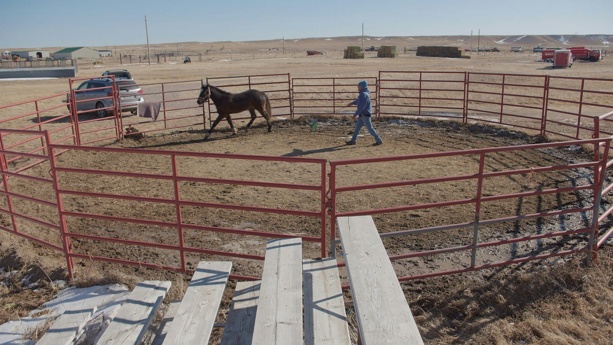 As a horse trainer, Charles Walks uses a round pen rather than a square pen because the horse can’t corner itself. Walks trains Teter at Terry Bison Ranch on Jan. 29, 2025.