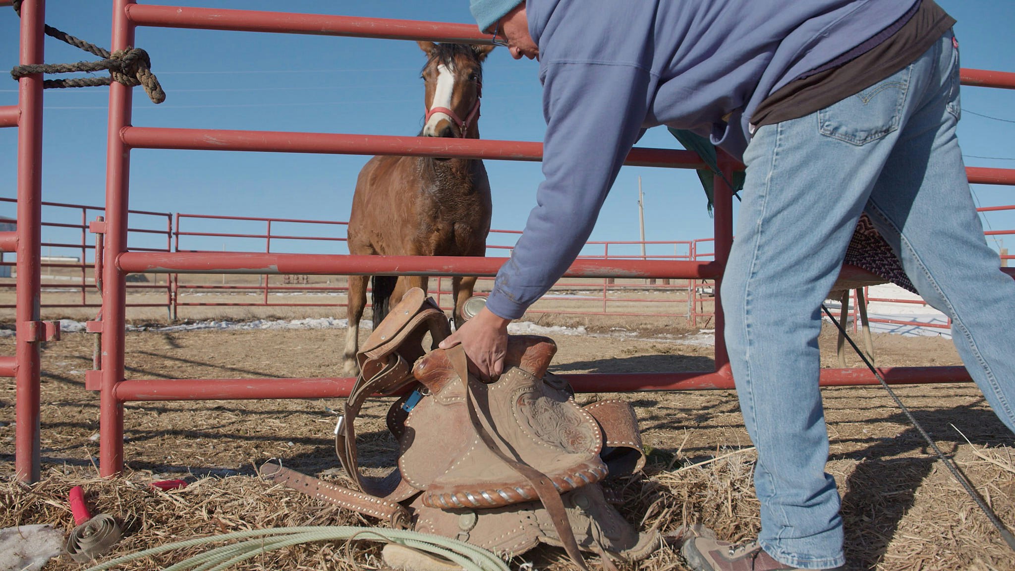 Charles Walks grabs a saddle on Jan. 29, 2025. He’ll rest it on the horse’s back to get them used to the feeling.