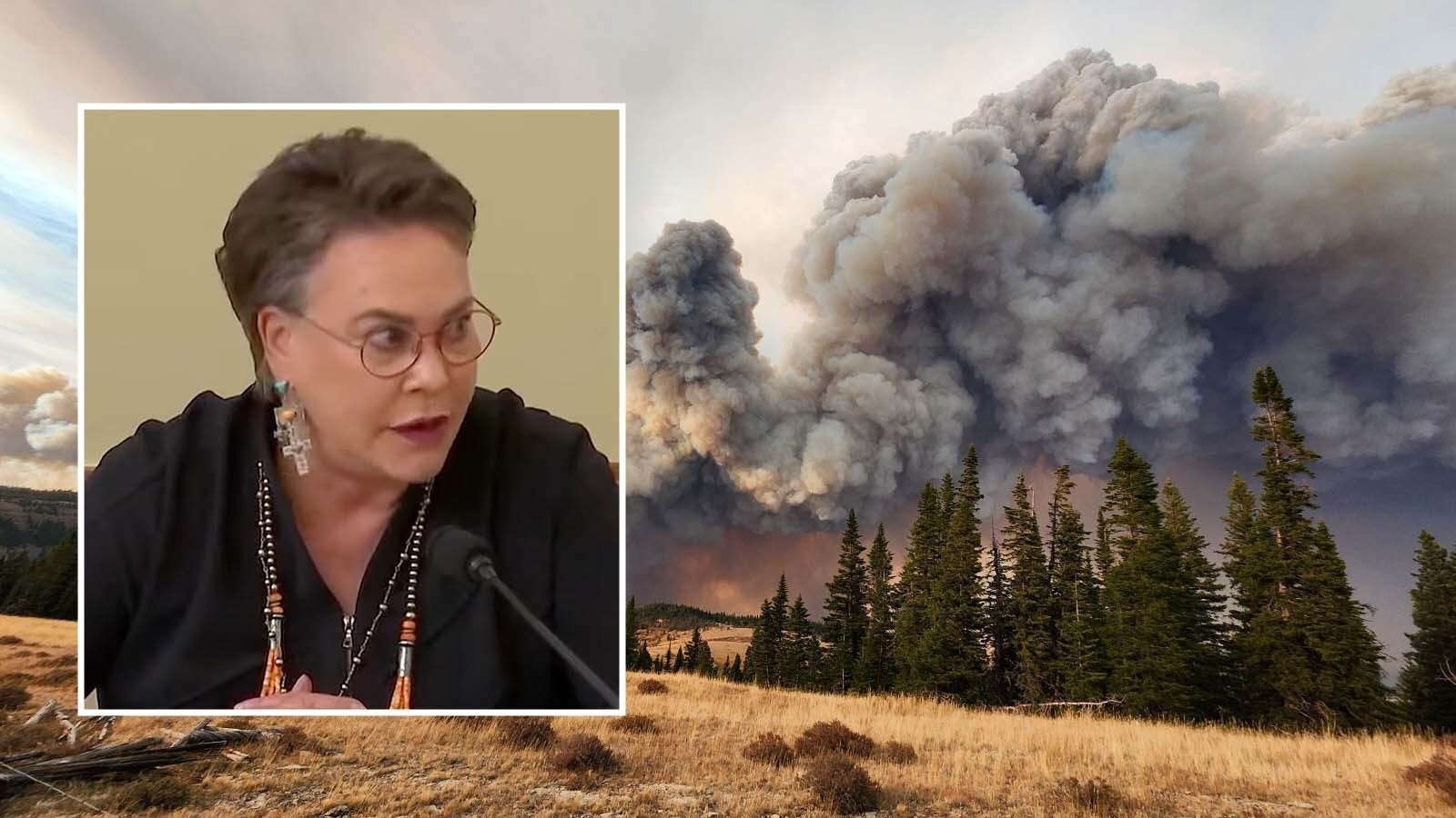 Wyoming Republican Rep. Hageman told the U.S. Forest Service chief Tuesday that its past time to end the 2001 President Clinton-era roadless rule. She said the agency’s own employees warned at that time it would be a disaster.