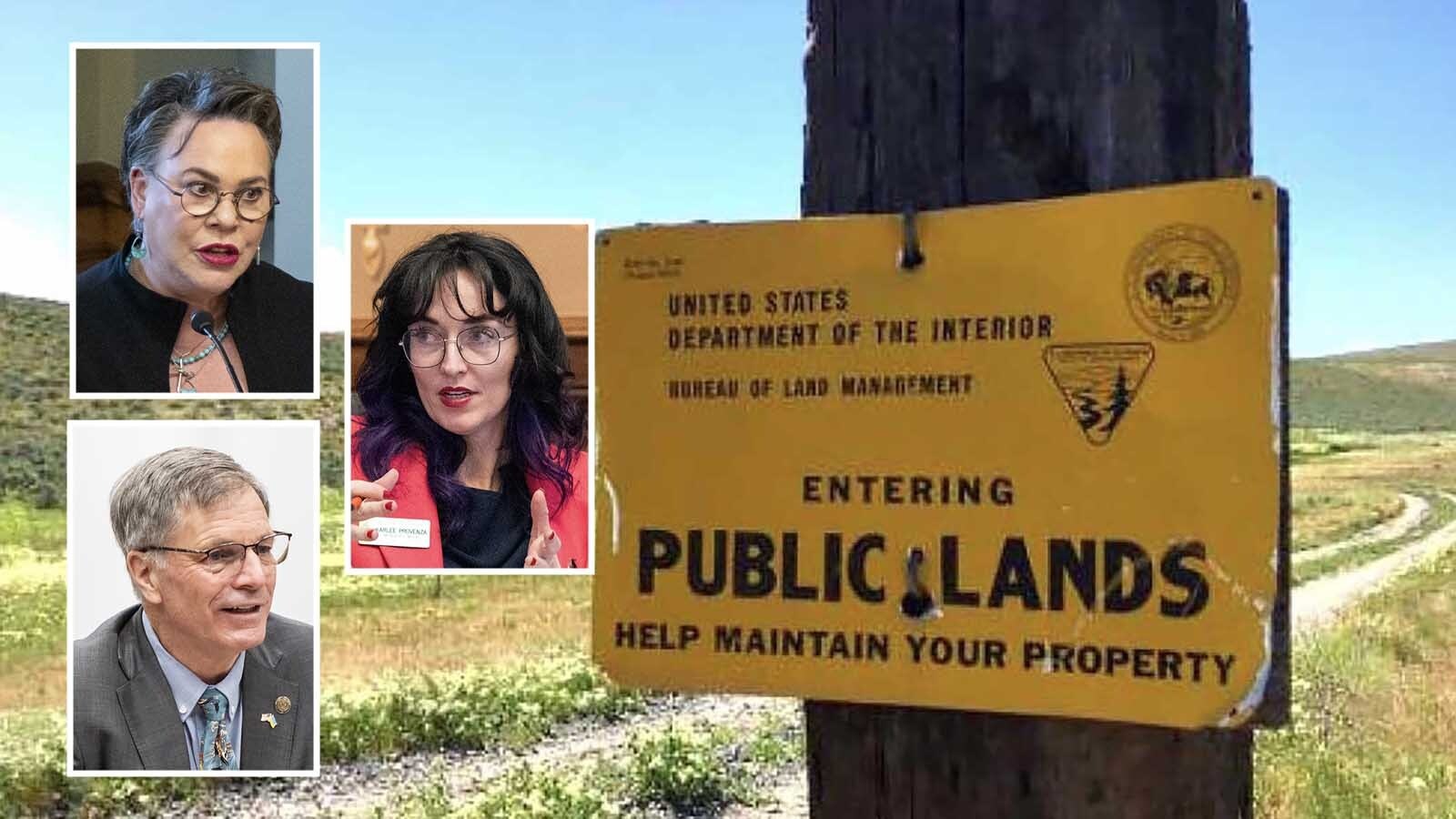 An debate over selling federal land reminds those in opposition of Wyoming leaders’ efforts to shift those lands into state hands last year. State Rep. Karlee Provenza says now Gov. Mark Gordon and Harriet Hageman are "partners in the public land grab."