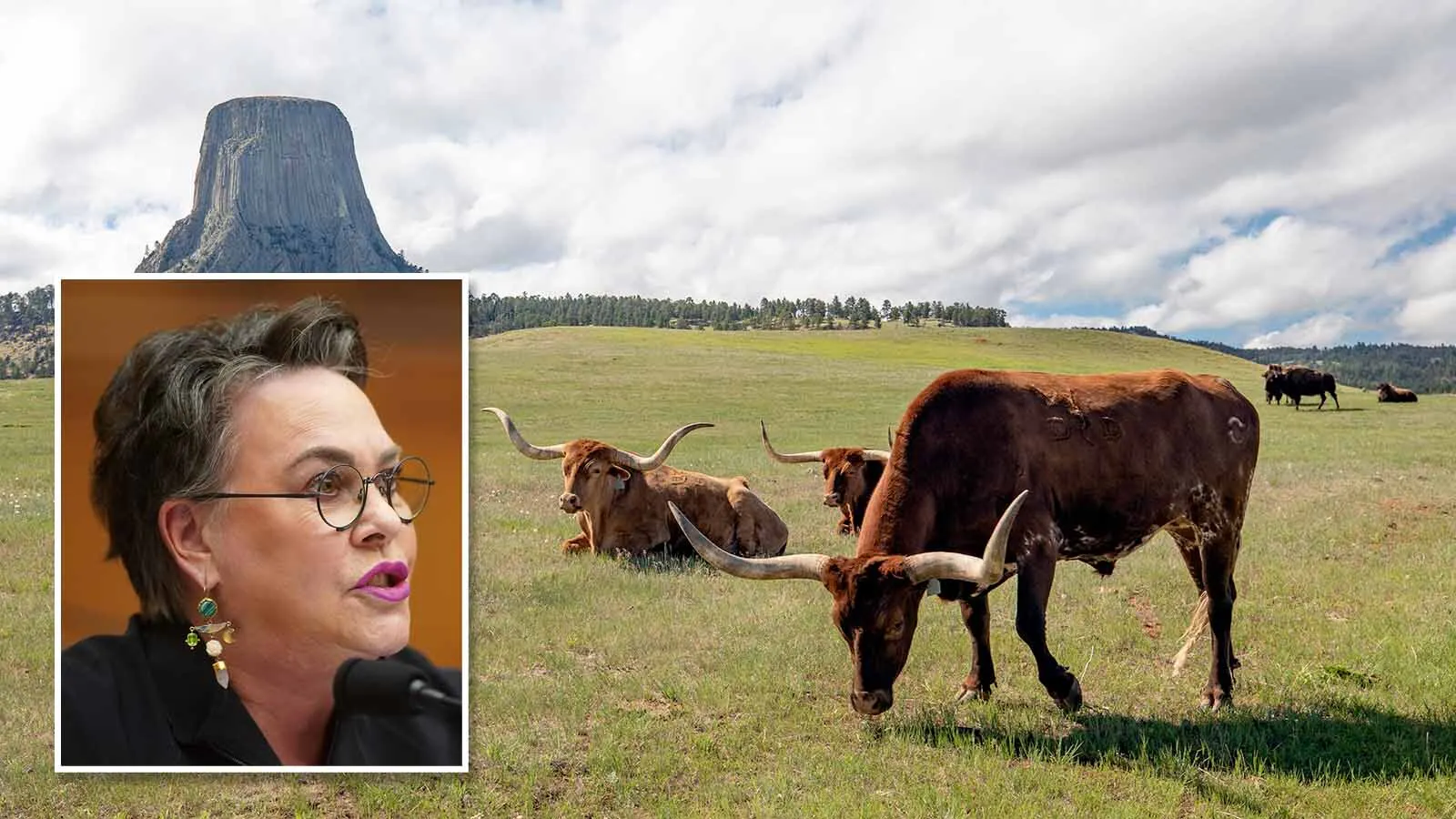Wyoming’s Harriet Hageman was one of three Republicans to vote against the 2026 Farm Bill, saying “special interests” have added “too much bloat” to the legislation. The Wyoming Farm Bureau praised the new bill for looking out for rural ag producers.