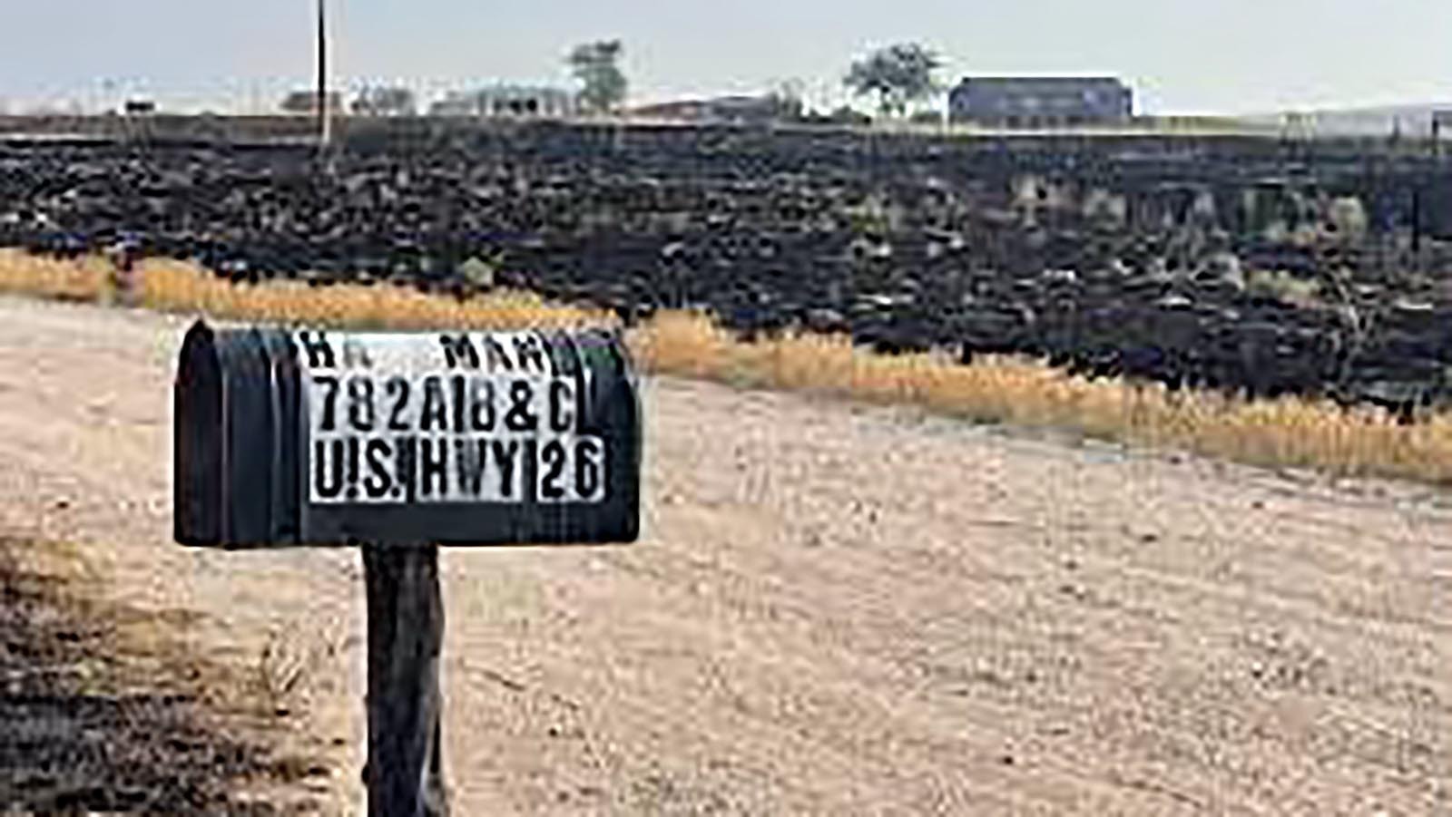 Mailbox still stands near Hugh Hageman’s home along U.S. Highway 26. Roughly 8,000 of his family’s 25,000 - 30,000 acres of land burned on Tuesday and Wednesday in the Pleasant Valley Fire.