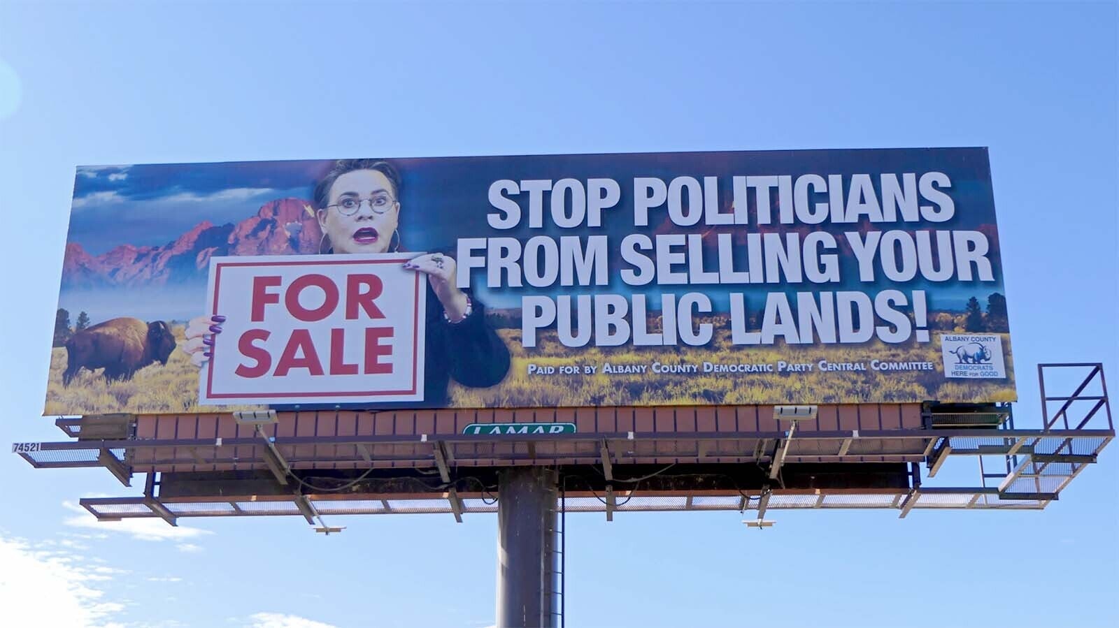 A billboard put up in September paid for by the Albany County Democrats.