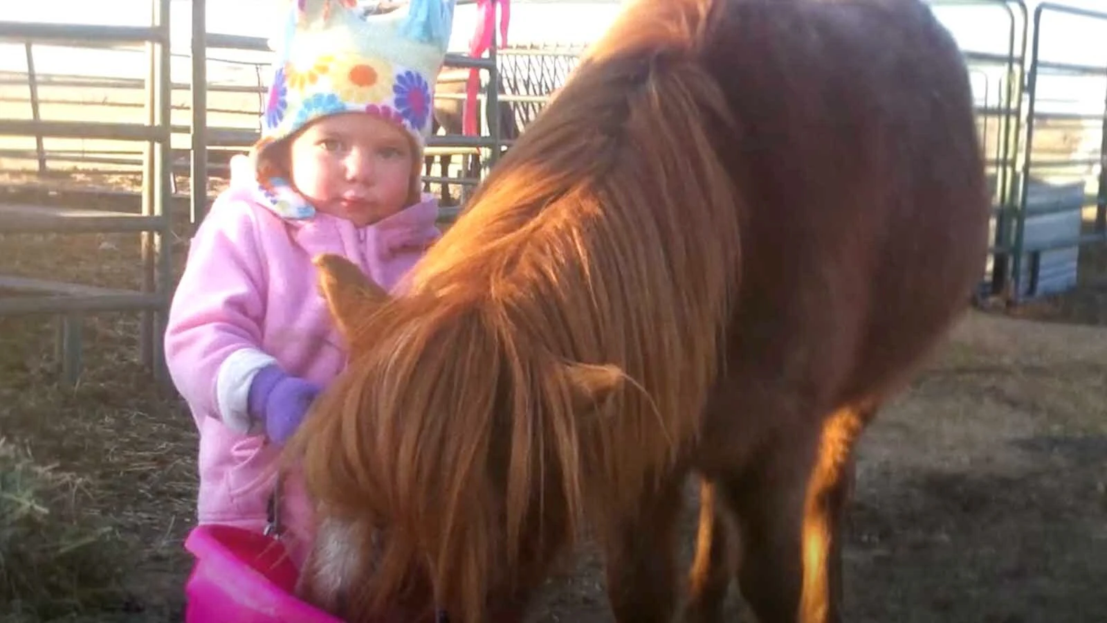 Like many Wyoming kids, Halle Crozier has been in the saddle since she could walk, or even before.