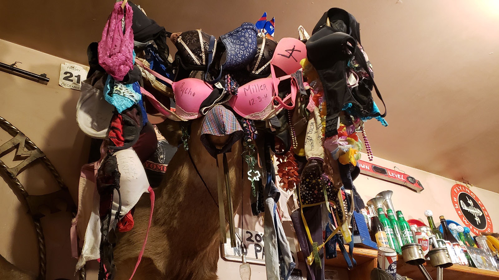 Some of the lingerie from years past hanging on one of the wild animal trophies in the Ponderosa Café's bar.