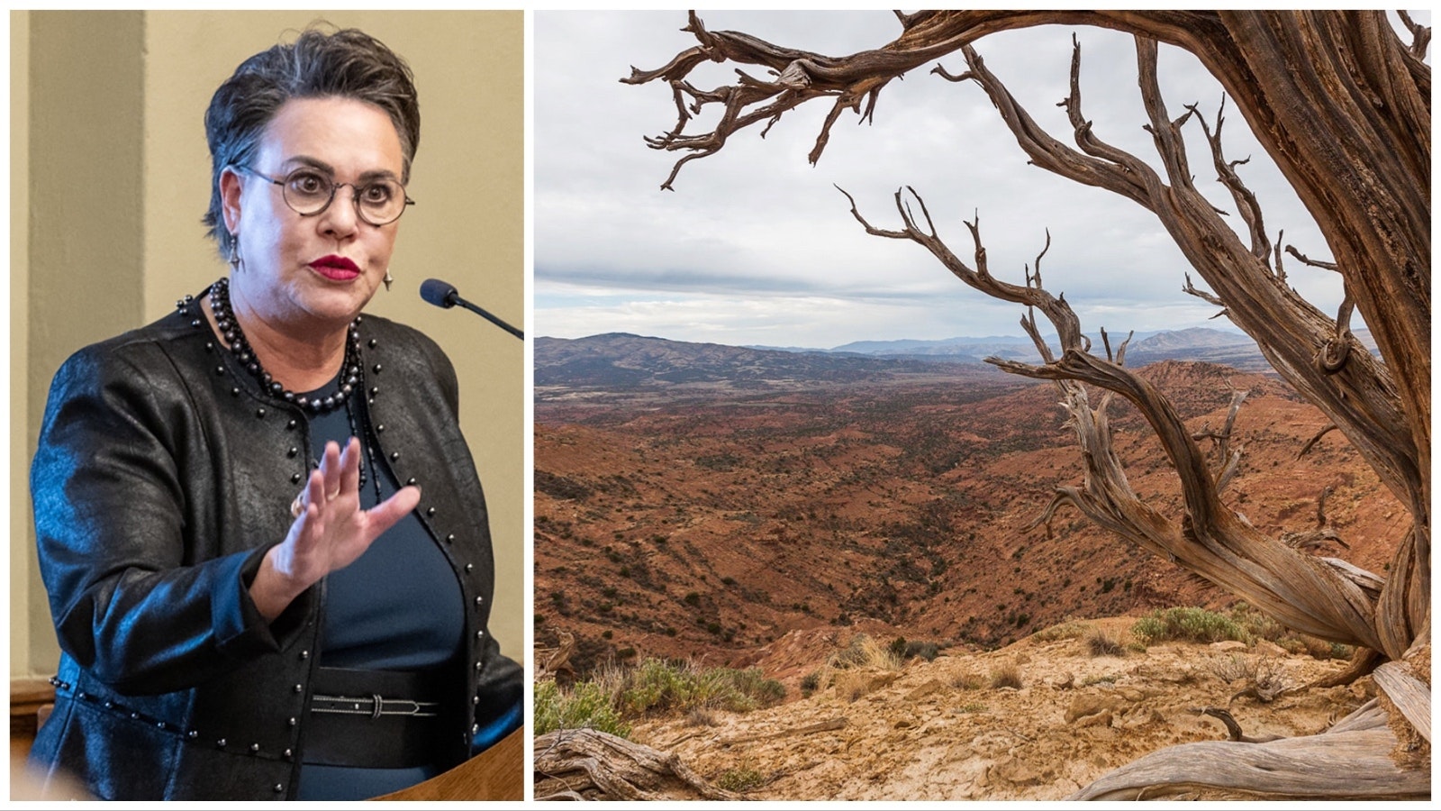 Harriet Hageman and Red Creek Badlands 11 2 23