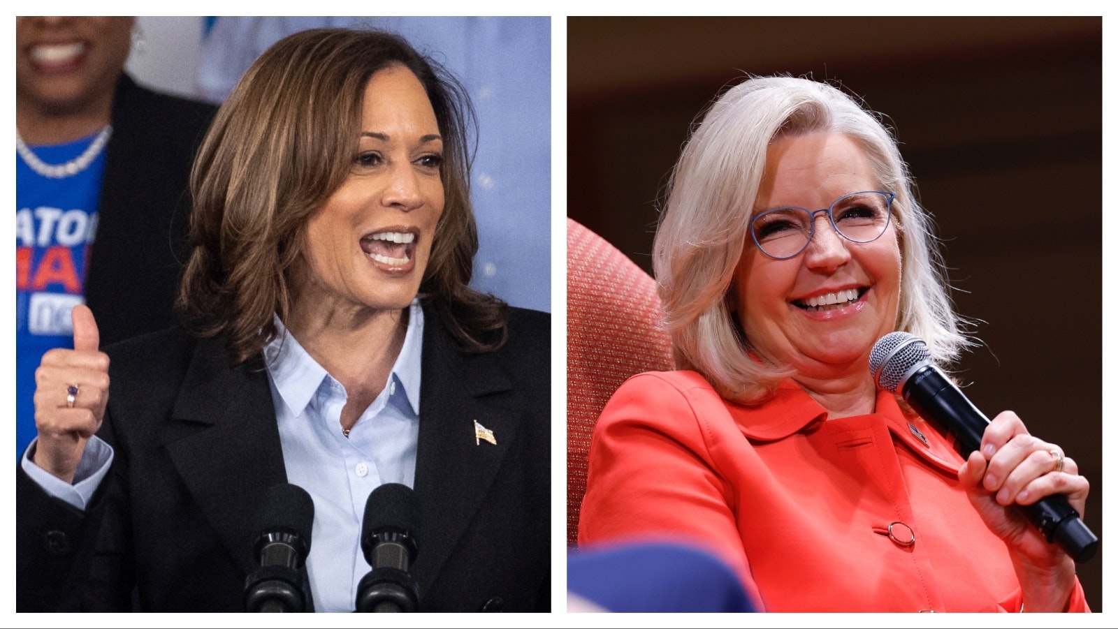 Vice President Kamala Harris, left, and Liz Cheney.