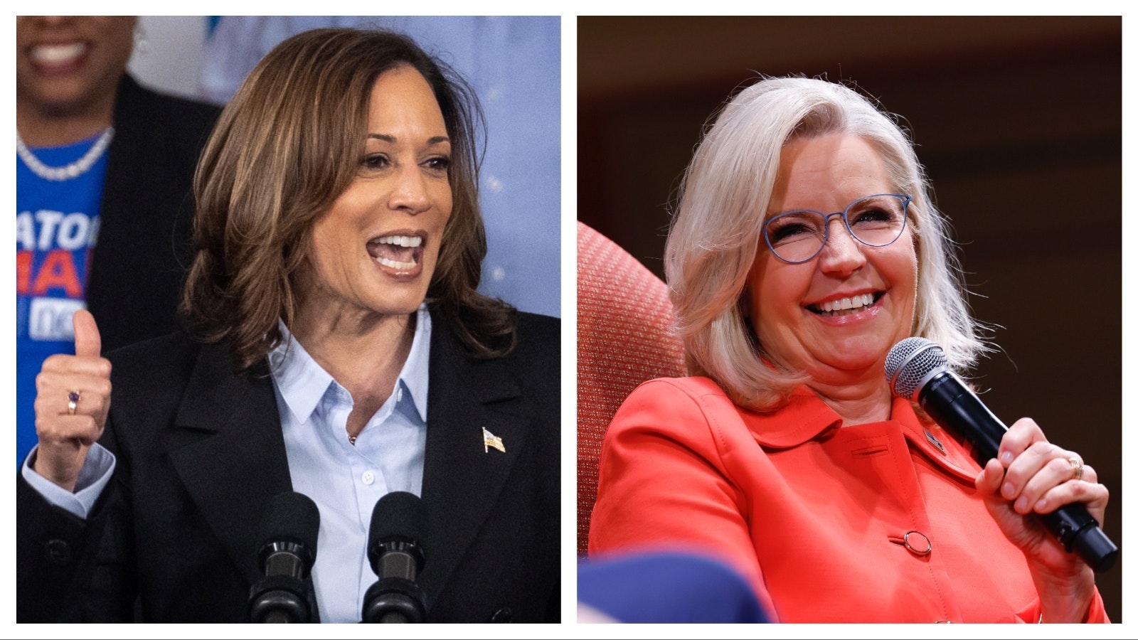 Vice President Kamala Harris, left, and Liz Cheney.