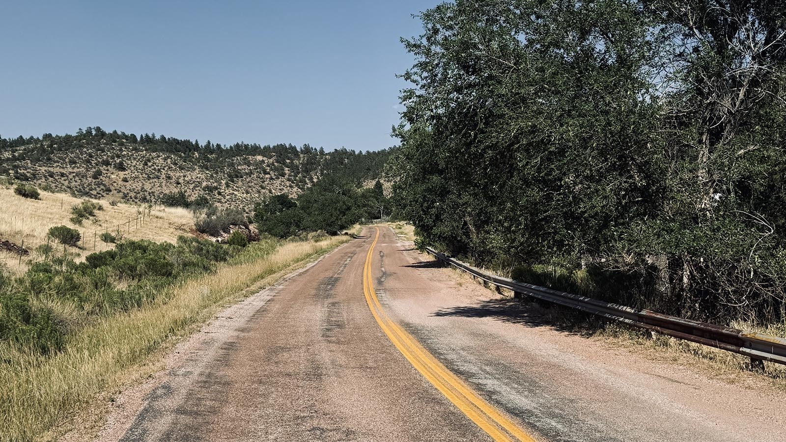 Russian olive trees are planted in parts of Hartville, a reminder of the town’s Eastern European roots from Italians, Greeks and Lebanese who came to America to work in the hematite iron-ore mine in nearby Sunrise.