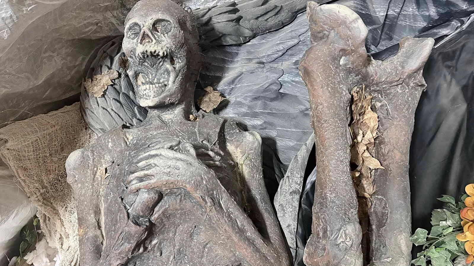 The haunted house in Hudson has the typical props to create scares to their visitors — but they also have an added bonus. The haunted house used to be a brothel that is rumored to still be haunted by the former occupants. 