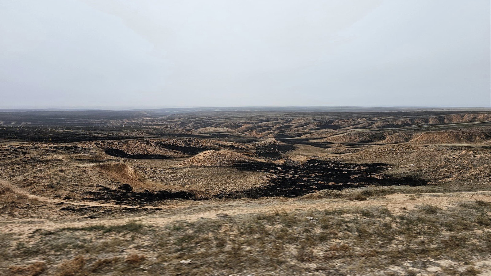 The 1.1 million-acre wildfire complex has devastated entire ranches and the burned-out aftermath is visible as far as the eye can see.