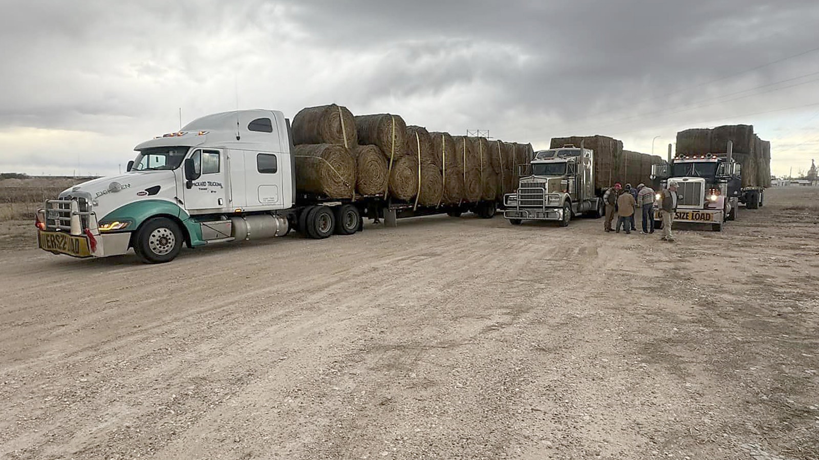 A convoy of trucks loaded with Wyoming hay gather for the long drive south to wildfire-devastated Texas to help ranchers there.