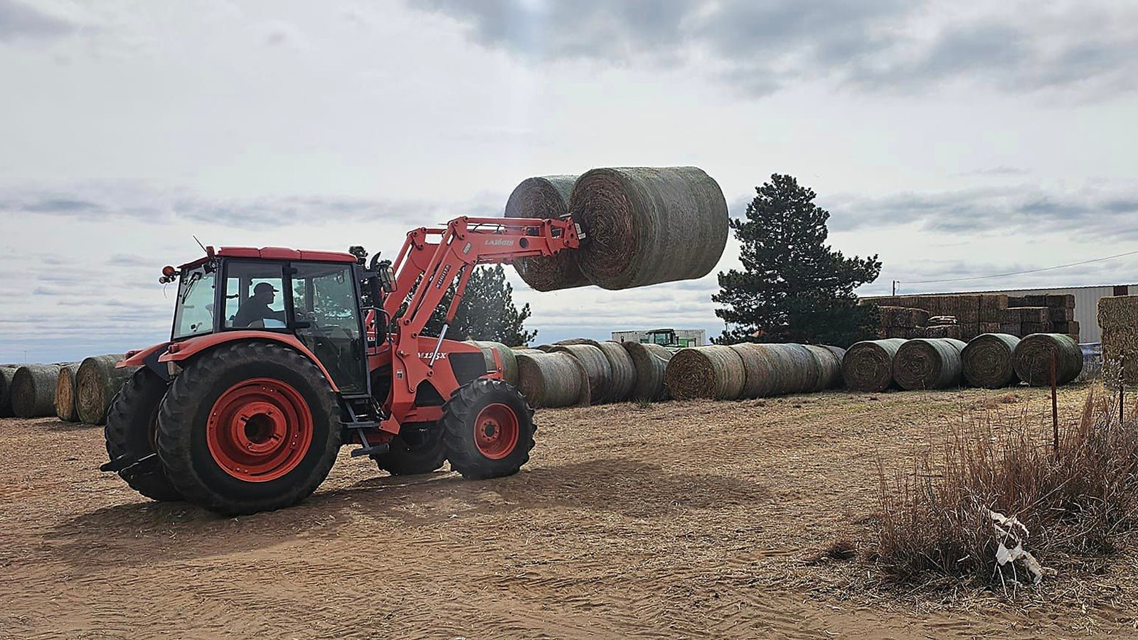A loader transfers a pair of round bales of hay to a holding area for Texas ranchers to pick up.