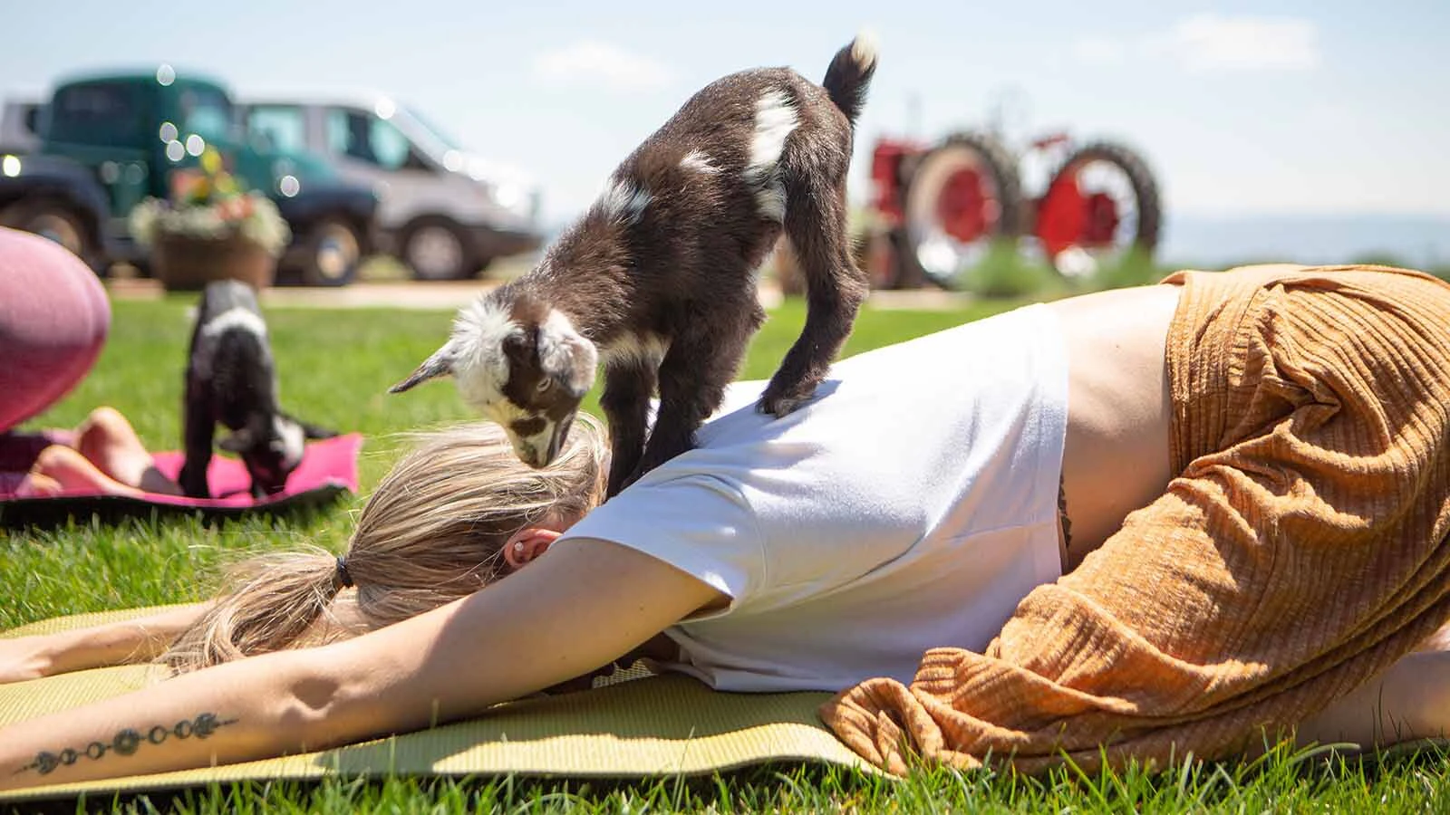 Yoga and goat yoga are among the wellness options that attract people to the Brush Creek Ranch near Saratoga looking for a Wyoming vacation while improving their health.