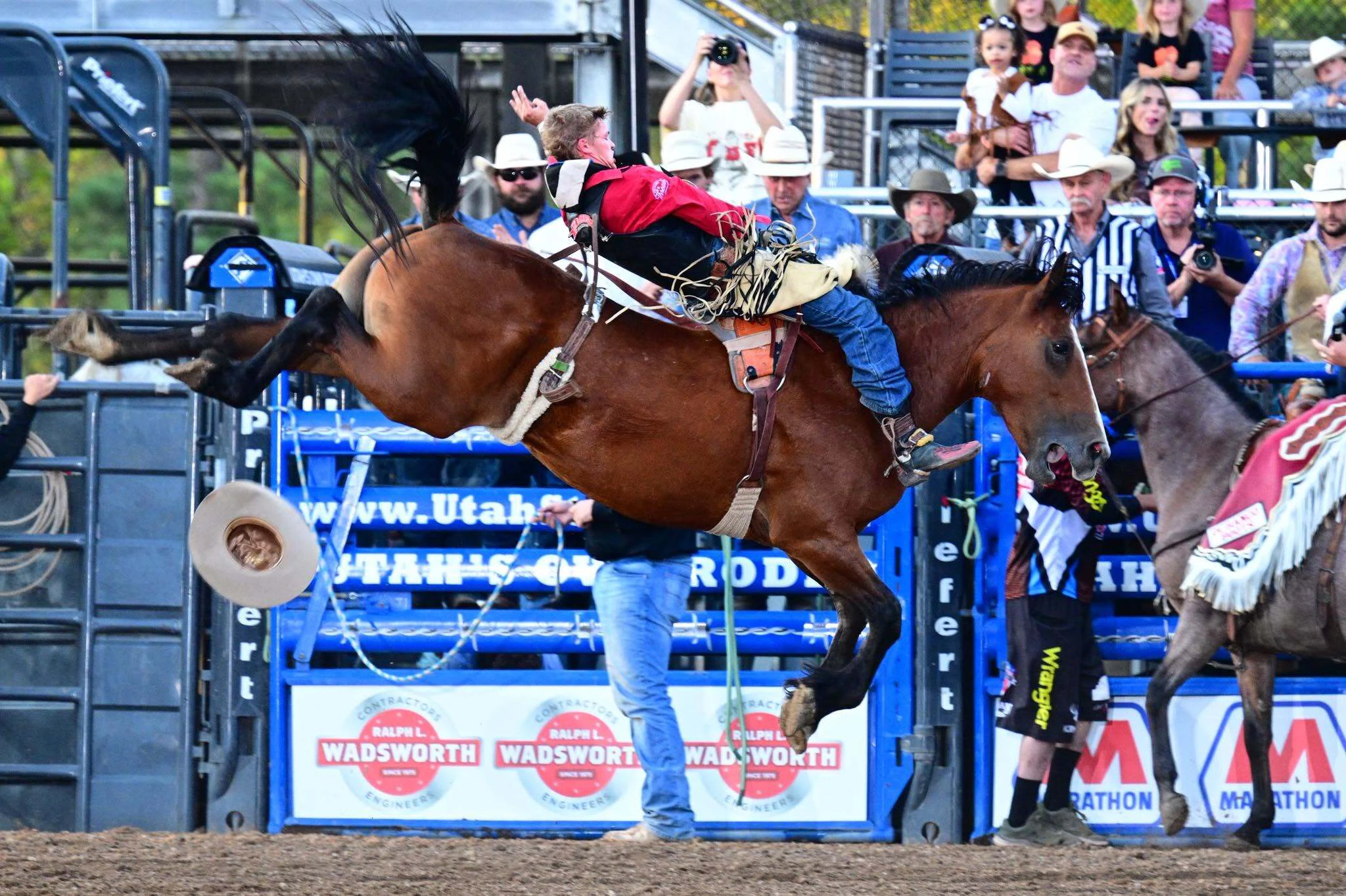 In only his second year on the Professional Rodeo Cowboys Association trail, Heavy Feathers has trotted off with an honor only a handful of bucking horses ever achieve.
