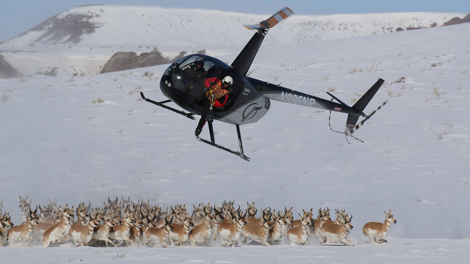 This helicopter, seen in a file photo by Wyoming Game and Fish Department, was one of two that collided near Parkman on Jan. 19, 2026, while doing contract work for the agency.
