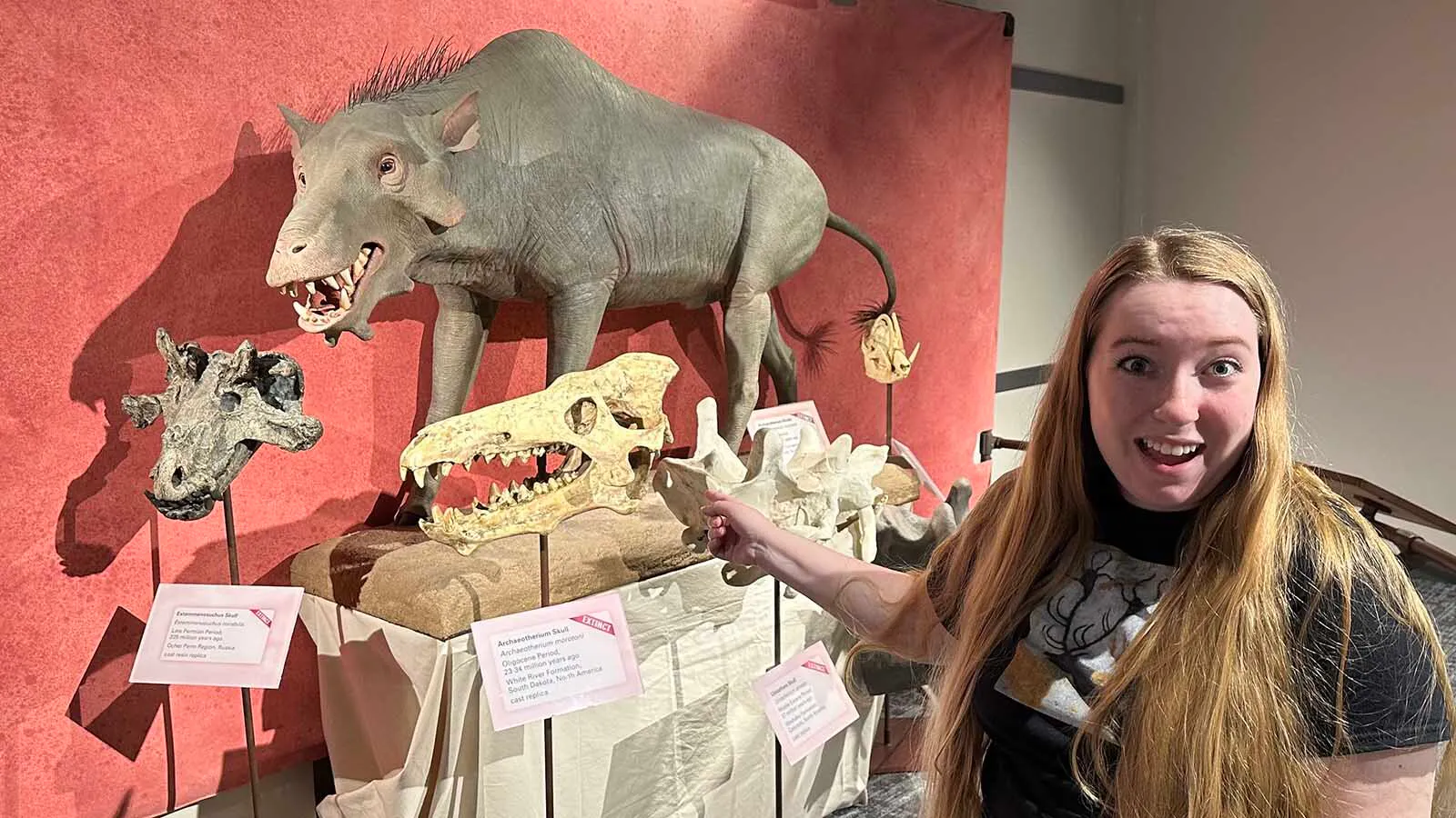 Brynn Wooten, "the Hell Pig Person," at an exhibit displaying a skull and an artist's reconstruction of Archaeotherium at the University of Nebraska State Museum in Lincoln.