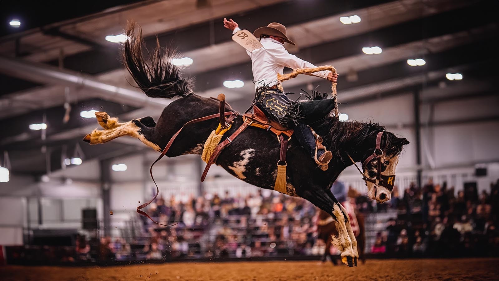 Kaden Horrocks of Utah, riding a King Rodeo Co. bronc at the 2024 Frozen Fury Bronc Futurity hosted by the Hell on Wheels Rodeo Company of Cheyenne.