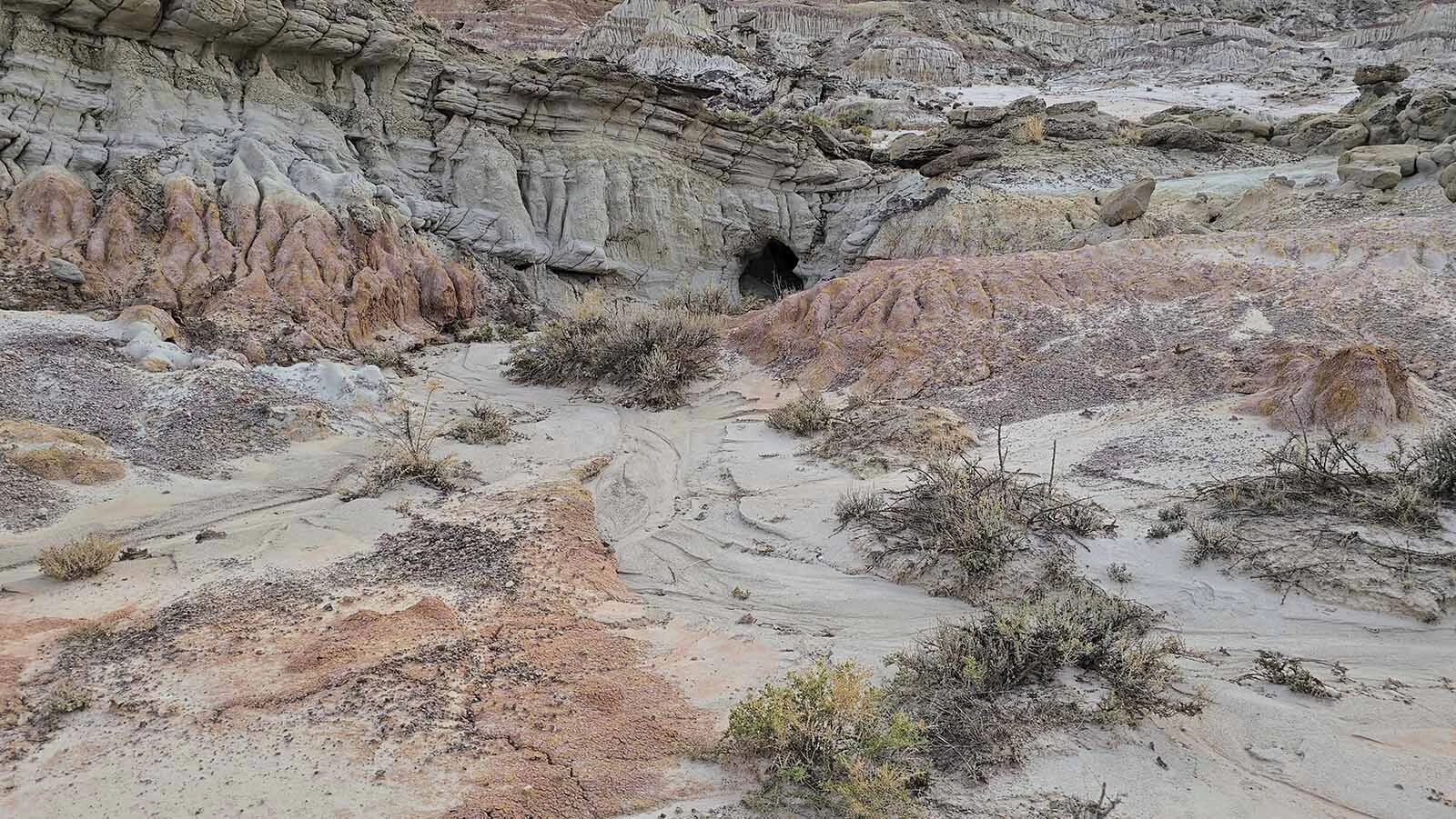 Hell's Half Acre has many small caves and burrows where rabitts and other small mammals can hide. Little forage grows there, however, and it's very dry.  Larger animals like deer don't stay there long.