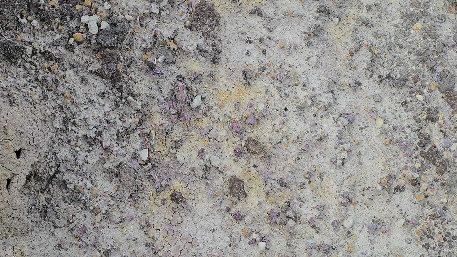 A scattering of shattered purple stones on the ground in Hell's Half Acre.