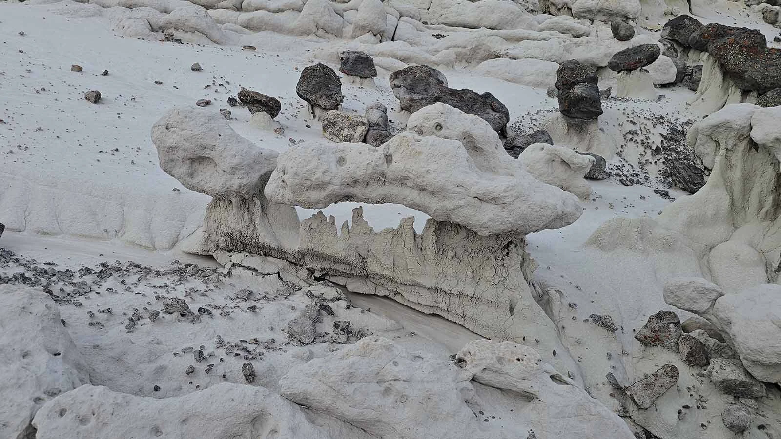 Many of the shapes carved into the mudstones at Hell's Half Acre look like other objects, like this one, which vaguely resembles a prehistoric skull.