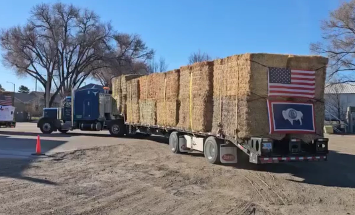 Thank you Texas! Texas Ranchers Hauling Hay To Wyoming