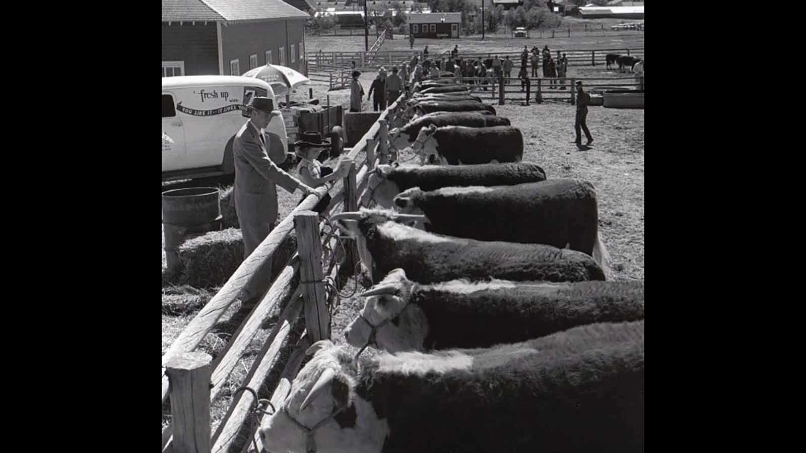 Wyoming Hereford Ranch is the nation’s oldest continuously registered livestock operation.