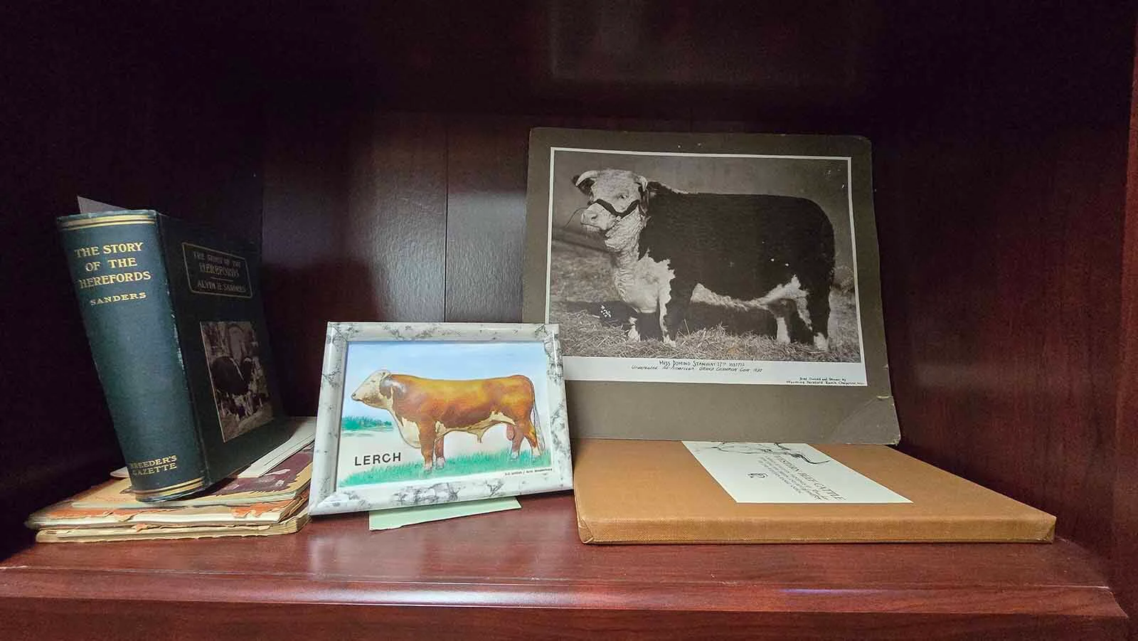 Some of the cattle that lived at Wyoming Hereford Ranch.