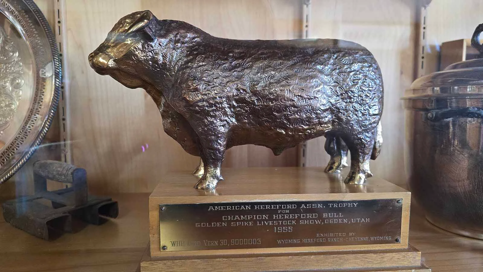 One of the many trophies won by livestock at the Wyoming Hereford Ranch.