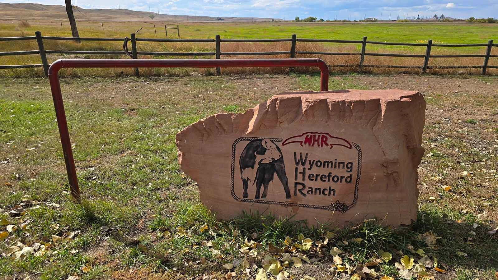Wyoming Hereford Ranch is the nation’s oldest continuously registered livestock operation.