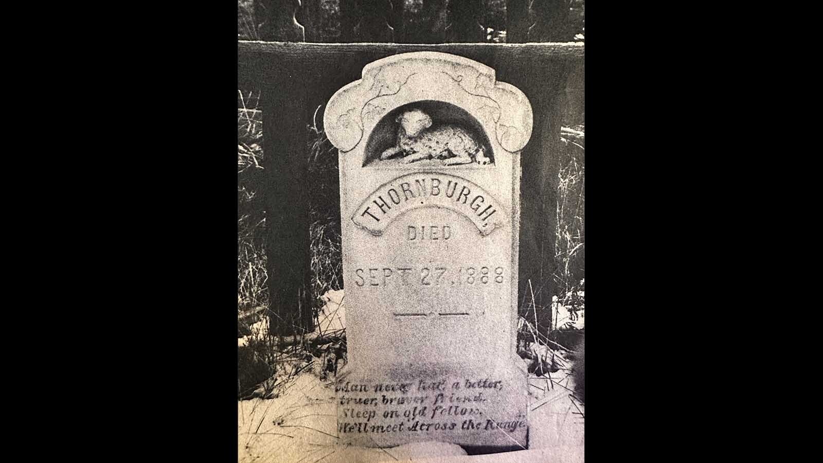 Thornburgh was the hero dog of Fort Bridger and his gravestone is at Fort Bridger where his master had erected it after Thornburgh was killed by an untamed mule.
