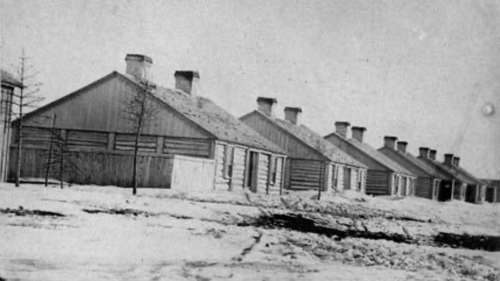 Thornburgh the hero dog of Fort Bridger started life as an ordinary mutt, following the military camp and eating scraps. However, after stopping a thief and other heroic acts, he was given free reign of the fort, choice food from the kitchens and petted on by all the men, including the officers.