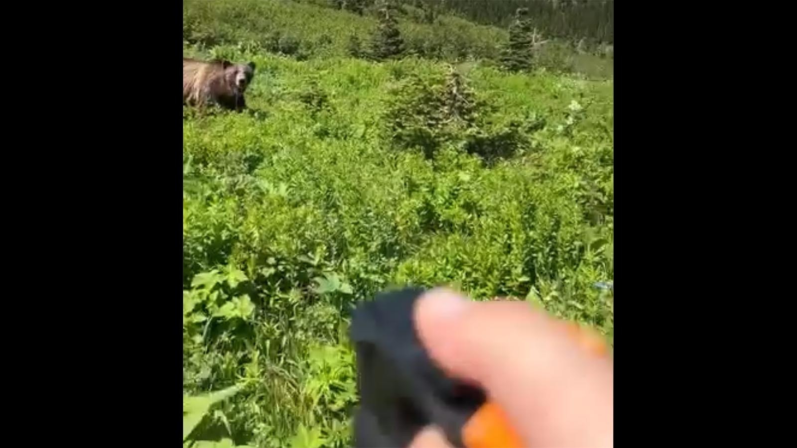 Amanda Wylie of Queens, New York, fell in love with the West after a trip to Yellowstone years ago. This year, she had a terrifying close encounter with a grizzly in Montana’s Glacier National Park, but said she still wants to keep hiking out West.