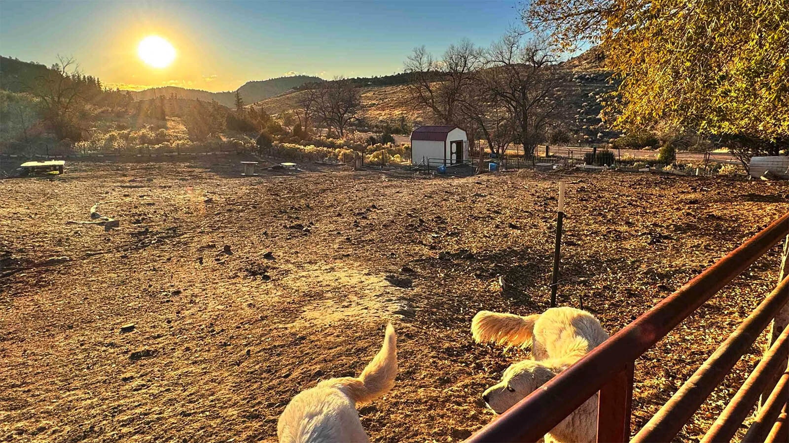 A five-bedroom house near the abandoned company mining town of Sunrise, Wyoming, in the Hartville area is chock-full of history — and for sale, listing for $809,000. It was home to an early pioneer, and the sale includes the Guernsey Cabin.