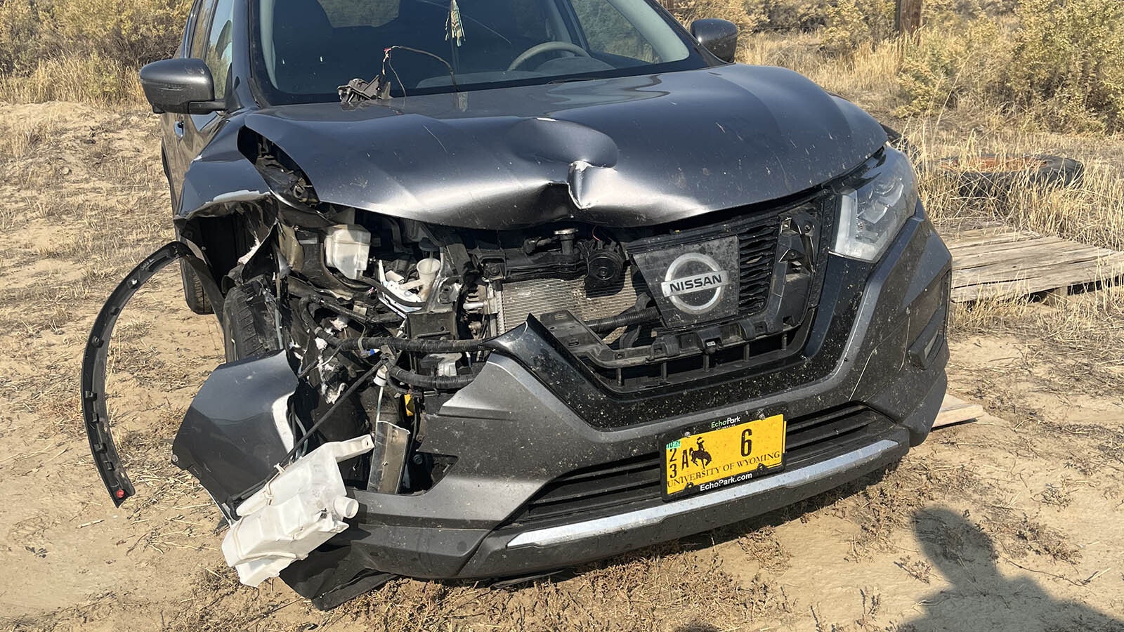 Kassidy Thomas hit a deer on Highway 287 while returning to Laramie as a University of Wyoming student. She was stranded in the dark with a smashed car and no cellphone service.