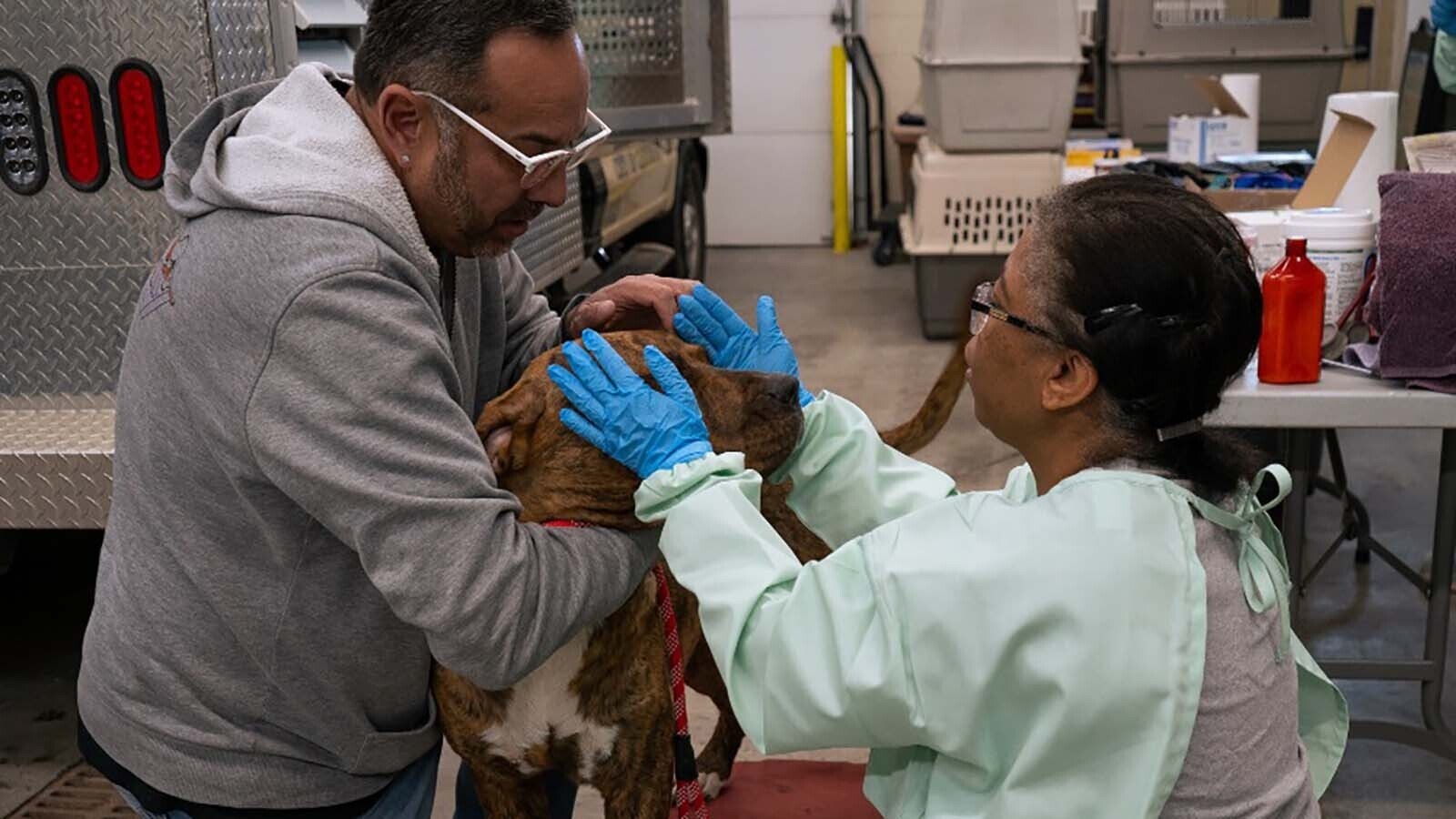 After the adoption of Carmen San Diego, a sulcata tortoise, the Cheyenne Animal Shelter has found homes for all 103 animals rescued from a hoarding case in October officials called "abhorrent." They're the lucky ones, as 22 dead animals also were found.