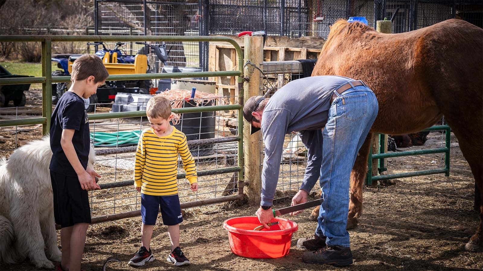 Homesteading doesn’t mean living like folks on “Little House on the Prairie.” A Cody woman teaches how homesteaders in Wyoming use technology and innovation to achieve self-sufficiency, and it doesn’t mean you have to be a loner.