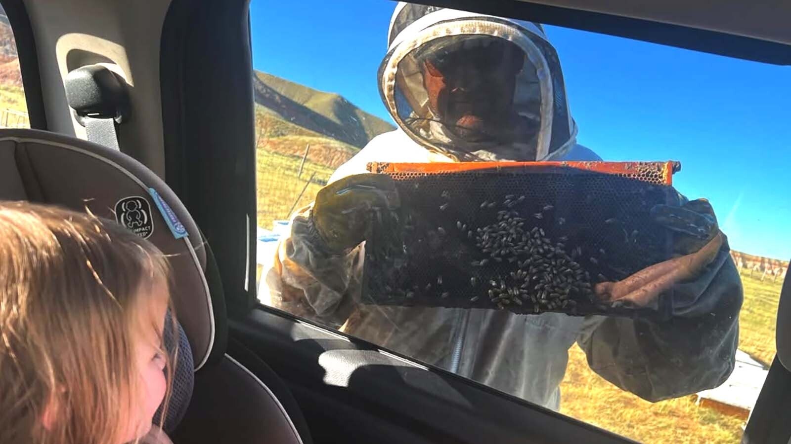Honeybee operations in Wyoming have been scrambling to get ready for the honey to flow with unusually large colony losses earlier this year. The Honey House in Dubois says it’s ready — just barely — for a new tourism season.