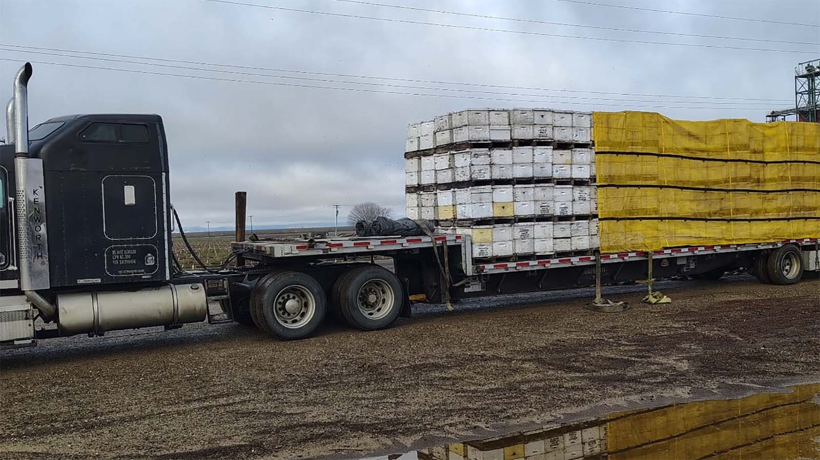 Honeybee operations in Wyoming have been scrambling to get ready for the honey to flow with unusually large colony losses earlier this year. The Honey House in Dubois says it’s ready — just barely — for a new tourism season.